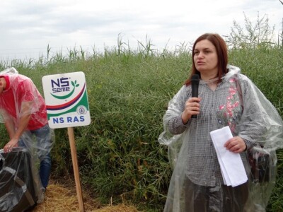 Žito grupa: Tvornica ulja Čepin, Dan polja uljane repice