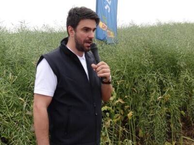 Žito grupa: Tvornica ulja Čepin, Dan polja uljane repice