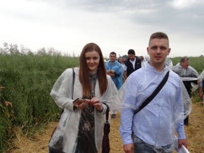 Žito grupa: Tvornica ulja Čepin, Dan polja uljane repice