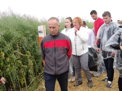 Žito grupa: Tvornica ulja Čepin, Dan polja uljane repice