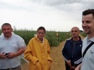 Žito grupa: Tvornica ulja Čepin, Dan polja uljane repice