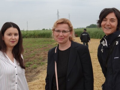 Žito grupa: Tvornica ulja Čepin, Dan polja uljane repice