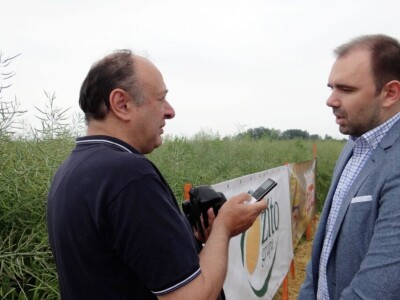 Žito grupa: Tvornica ulja Čepin, Dan polja uljane repice