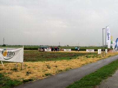 Žito grupa: Tvornica ulja Čepin, Dan polja uljane repice