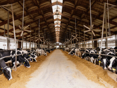 Žito grupa - ventilacijski sustavi na farmama