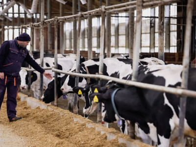 Žito grupa - ventilacijski sustavi na farmama