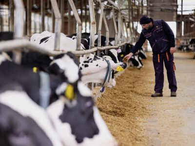 Žito grupa - ventilacijski sustavi na farmama
