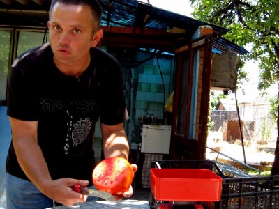 Za  celodnevnu salatu dovoljan jedan jabučar