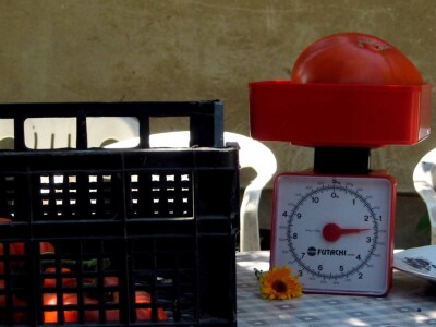 Lični rekord od 1.6 kilograma