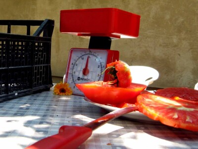 Mesnati i sočni plodovi