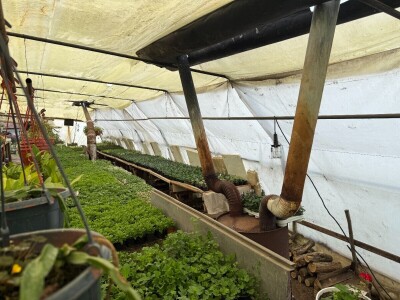 Zlaktino cvjetno carstvo