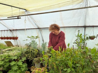 Zlaktino cvjetno carstvo