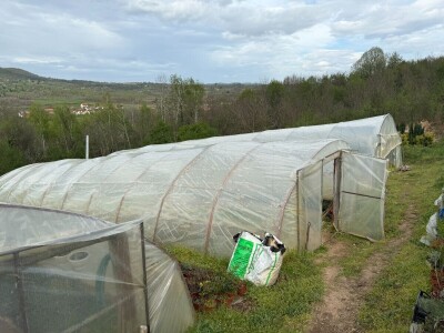 Zlaktino cvjetno carstvo