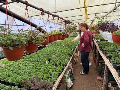 Zlaktino cvjetno carstvo