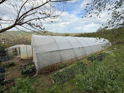 Zlaktino cvjetno carstvo