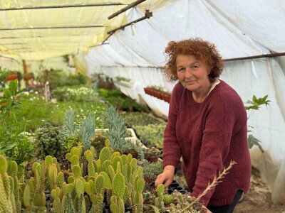 Zlaktino cvjetno carstvo