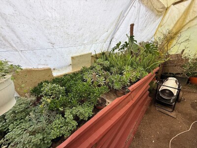 Zlaktino cvjetno carstvo