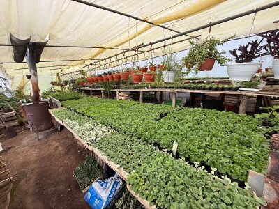 Zlaktino cvjetno carstvo