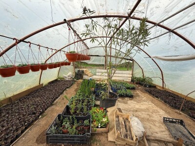 Zlaktino cvjetno carstvo