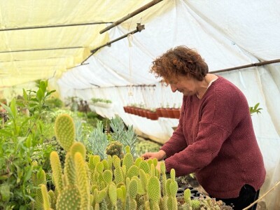 Zlaktino cvjetno carstvo