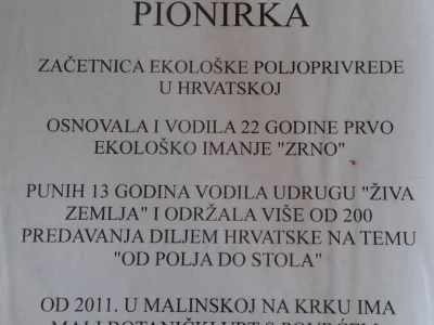 Zlata Nanić
