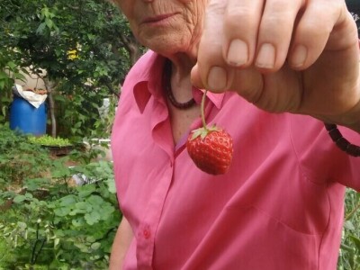 Zlata Nanić, hrvatska pionirka ekološke poljoprivrede