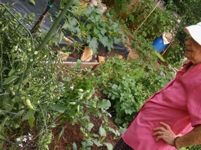 Zlata Nanić, hrvatska pionirka ekološke poljoprivrede