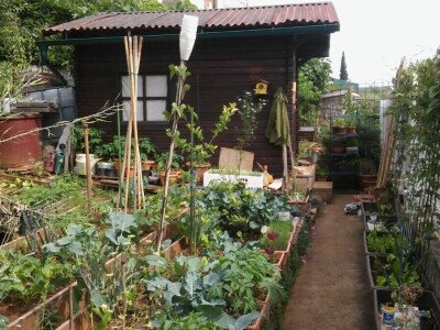 Zlata Nanić, hrvatska pionirka ekološke poljoprivrede