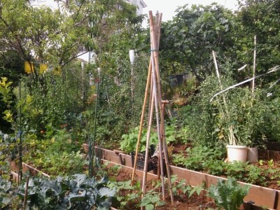 Zlata Nanić, hrvatska pionirka ekološke poljoprivrede