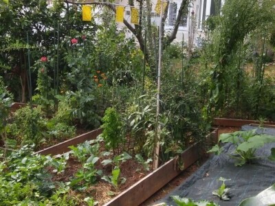 Zlata Nanić, hrvatska pionirka ekološke poljoprivrede