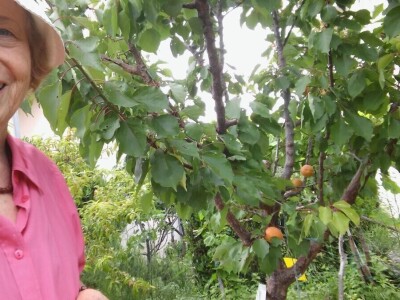 Zlata Nanić, hrvatska pionirka ekološke poljoprivrede