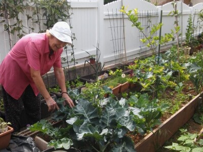 Zlata Nanić, hrvatska pionirka ekološke poljoprivrede