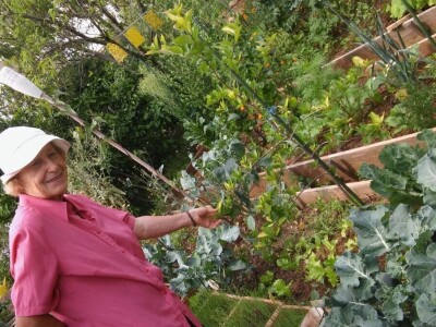 Zlata Nanić, hrvatska pionirka ekološke poljoprivrede