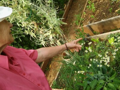 Zlata Nanić, hrvatska pionirka ekološke poljoprivrede