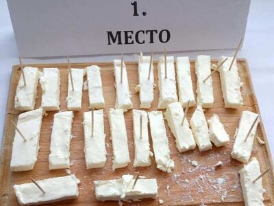 Zlatarski sir kvalitet duguje planinskim travama