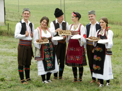 Zlatarski sir kvalitet duguje planinskim travama