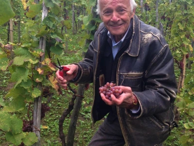 ZLATKO OŽBOLT