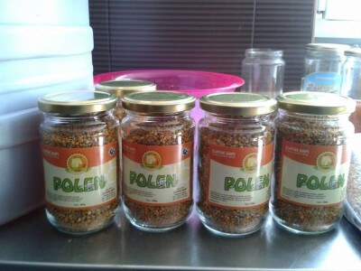 "Zlatne kapi" iz Bosanskog Dubočca