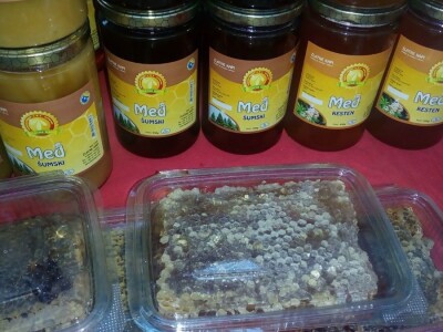 "Zlatne kapi" iz Bosanskog Dubočca