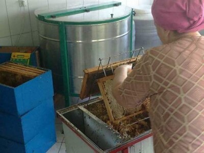 "Zlatne kapi" iz Bosanskog Dubočca