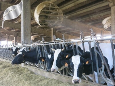 Zlatne medalje u Veroni