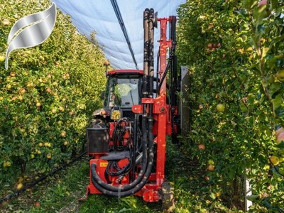 Zlatne medalje u Veroni