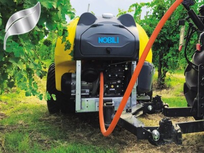 Zlatne medalje u Veroni