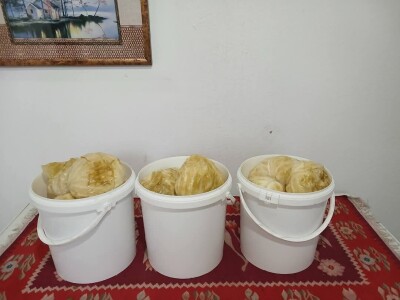 Zlatne ruke Dragice Jeremić