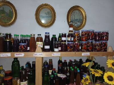 Zlatne ruke Dragice Jeremić