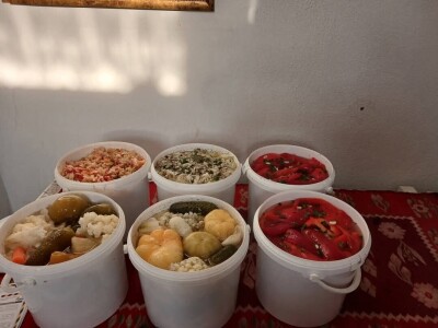 Zlatne ruke Dragice Jeremić