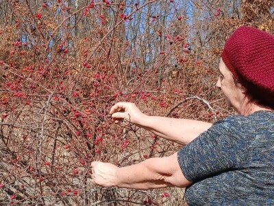 Zlatne ruke Dragice Jeremić