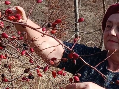 Zlatne ruke Dragice Jeremić