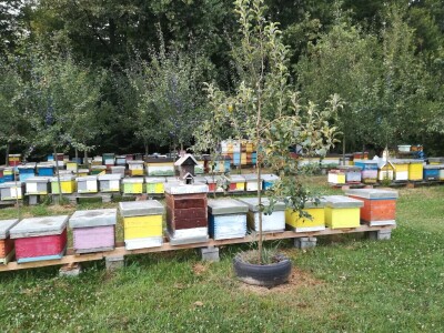 Značaj api komore Značaj api komore