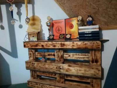Značaj api komore